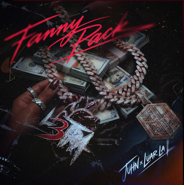 Fanny Pack